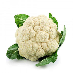 Vegetables & Fruits